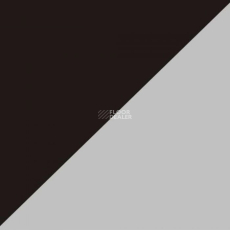 Apoluza SportFloor PVC Dance Duo Dance Duo фото 1 | FLOORDEALER